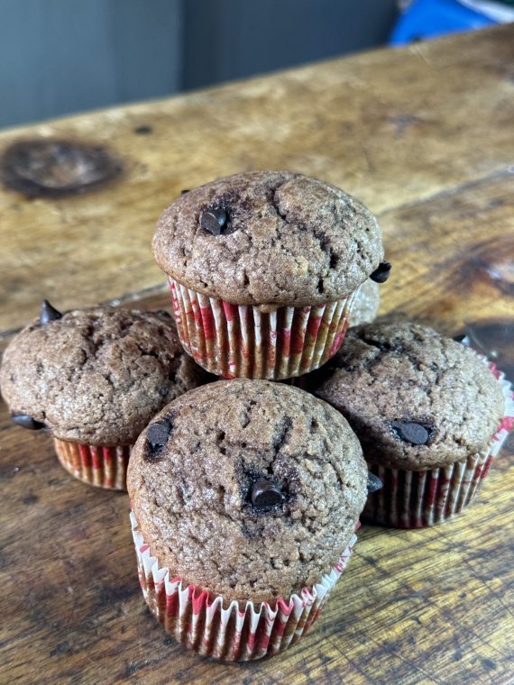 Chocolate Muffin